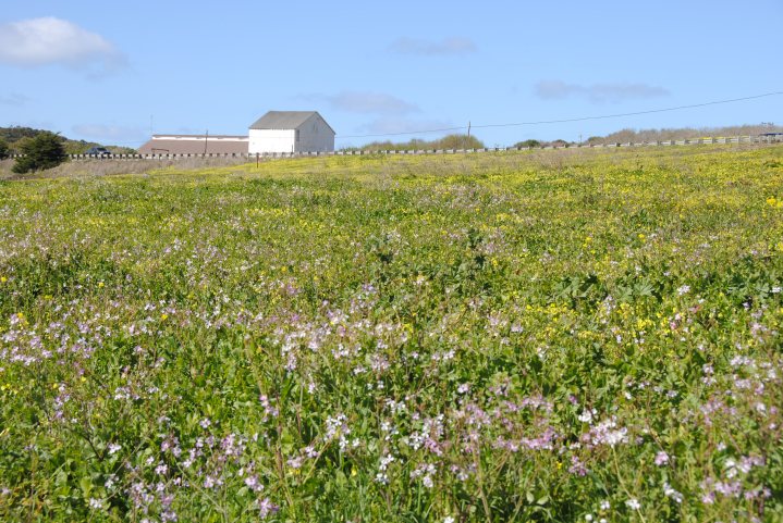 D0C91CB5-E30A-4B19-98B0-7A6612200E84